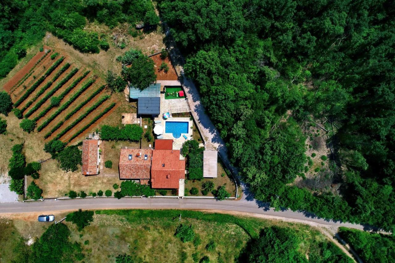 Family Friendly House With A Swimming Pool Marici, Labin - 17820 Villa Buitenkant foto